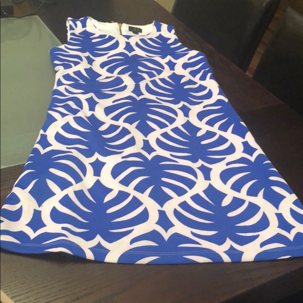 Blue and White Dress